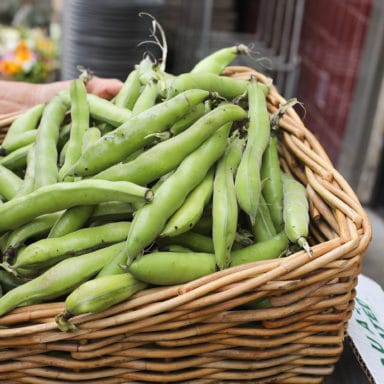 A basket filled to the brim with fava beans