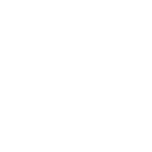 Icon of Bi-Rite bag filled with bread and greens