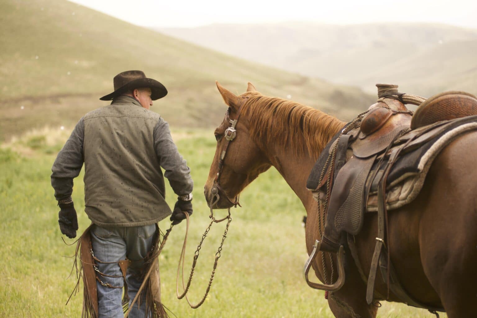 Rancher Dan Probert of Lightning Bolt Cattle in an open field with his horse.