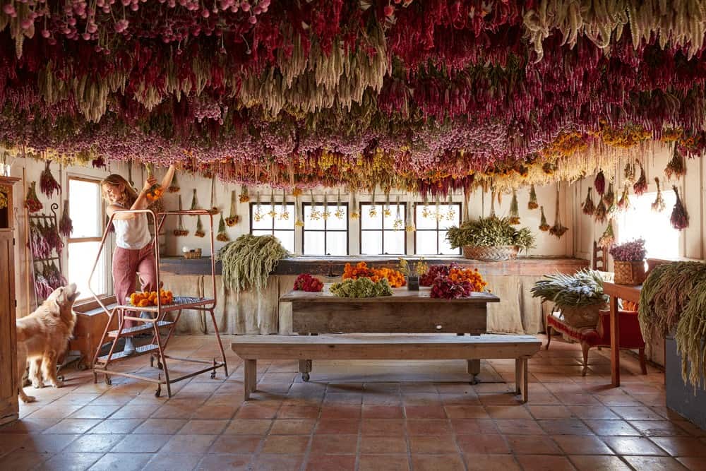 Farm Dog Zeus And Muller Hanging Flowers In The Wreath Room
