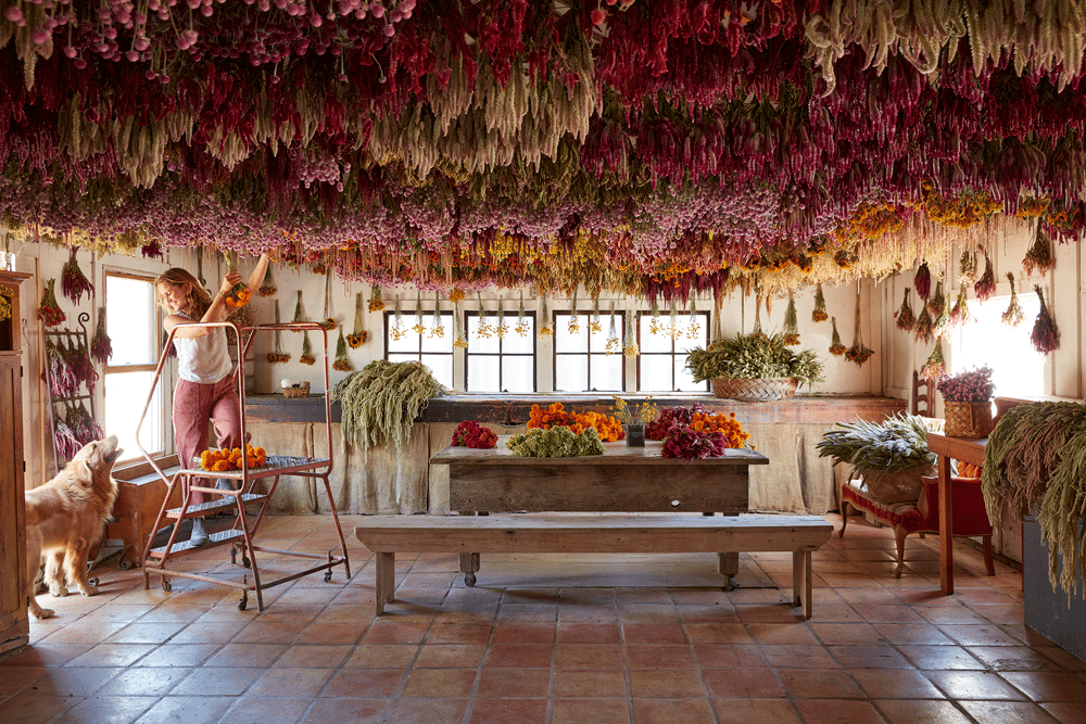 Farm Dog Zeus And Muller Hanging Flowers In The Wreath Room