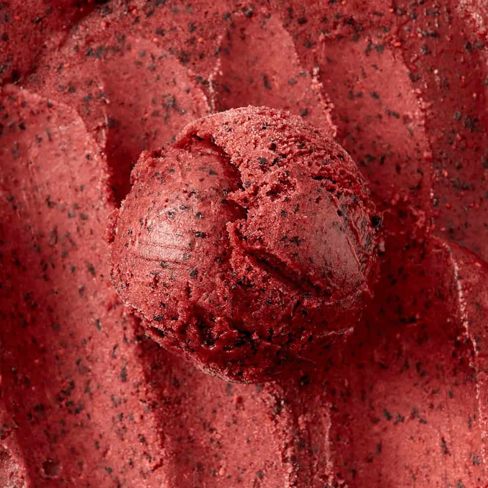 Blueberryrhubarb Sorbeticecream Product