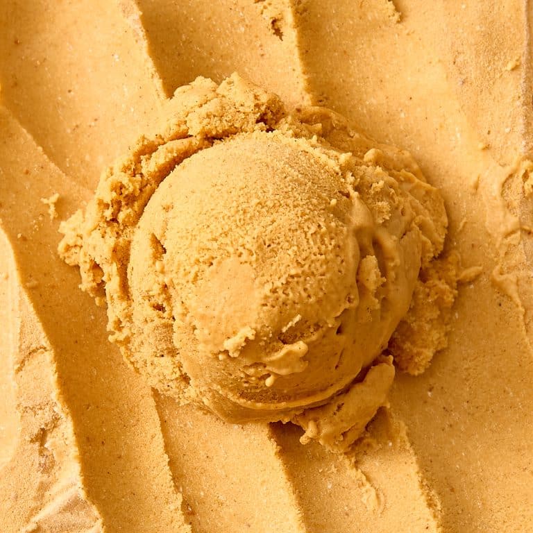 Pumpkinspiceveganscoop Websitemenu