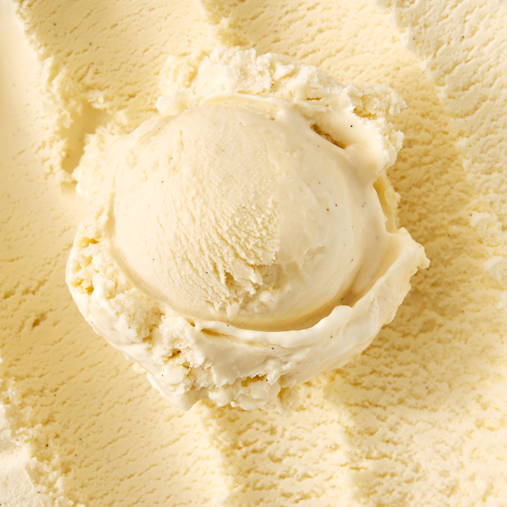 Vanilla Icecream Product