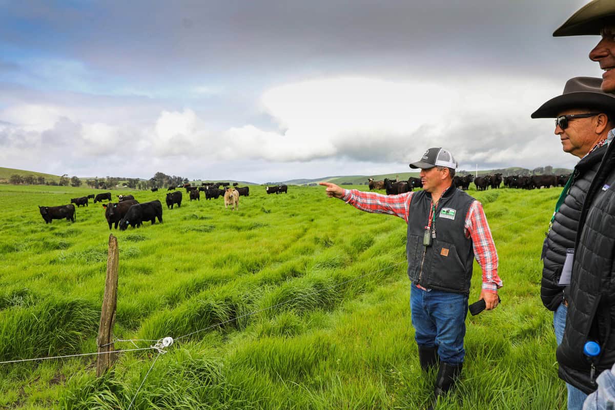 Farmer Pointing To Cattle On Stemple Creek Ranch